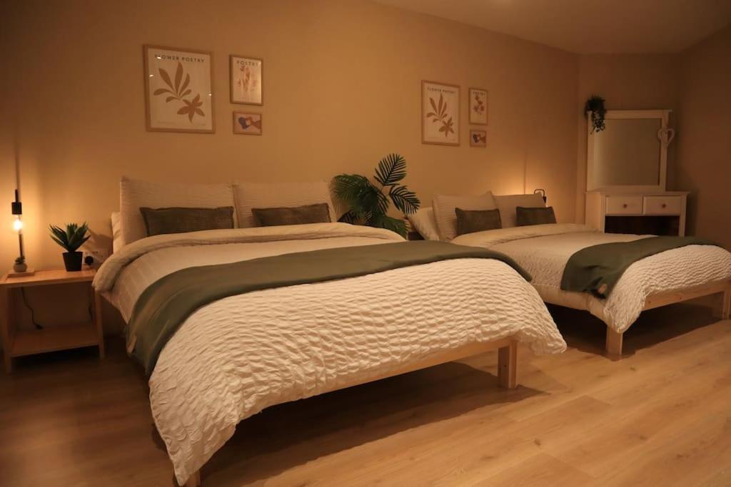 Modern Studio Apartment In Cashel Cashel (Tipperary) Exterior foto
